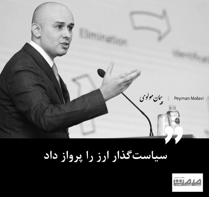 سیاست‌گذار ارز را پرواز داد